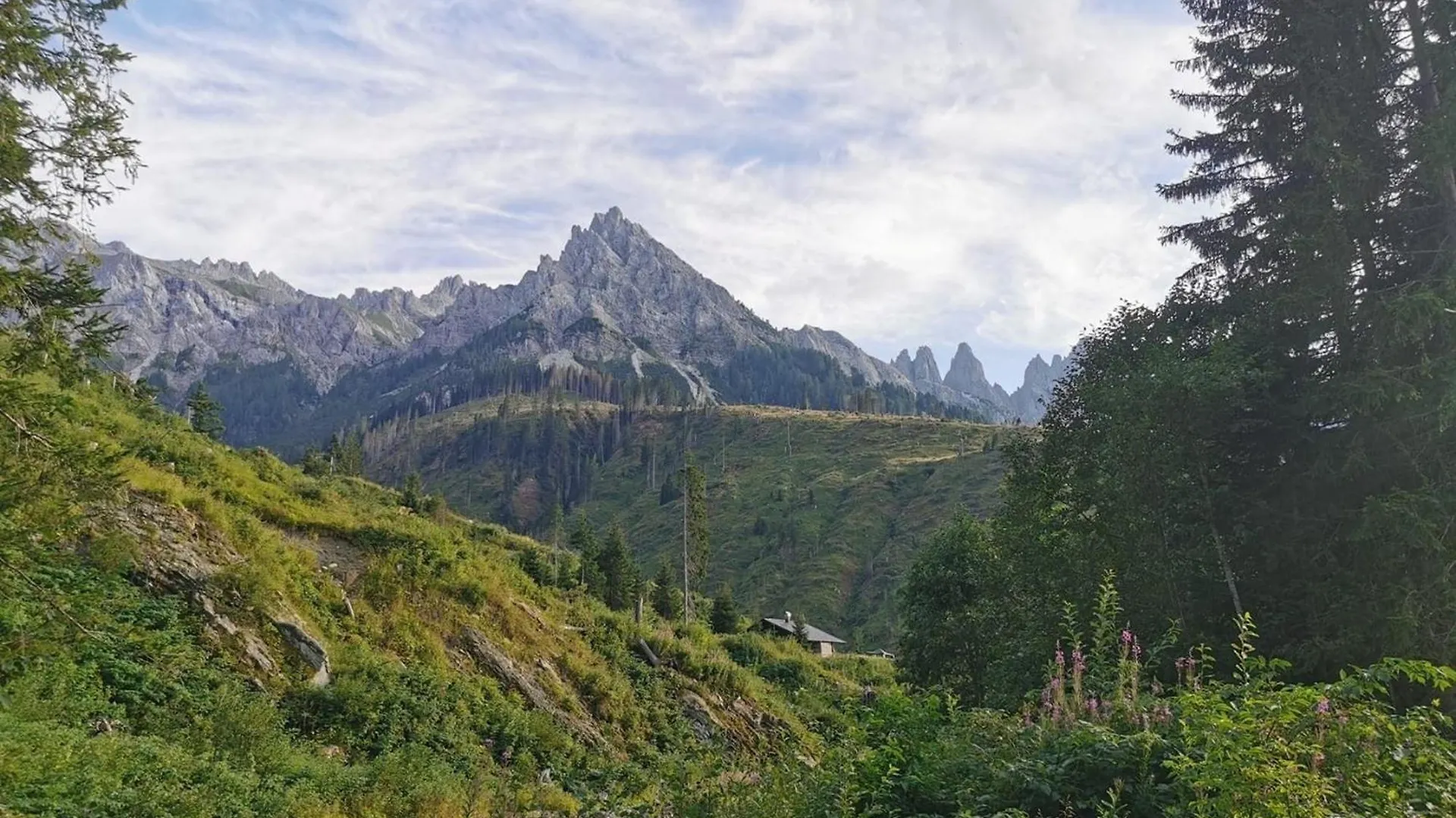 Guest house Affittacamere Angelina San Pietro di Cadore